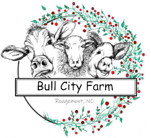 testimonial of bull city farm using tangaza as its easy online farm store